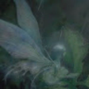 Meet your Posher, Sydz